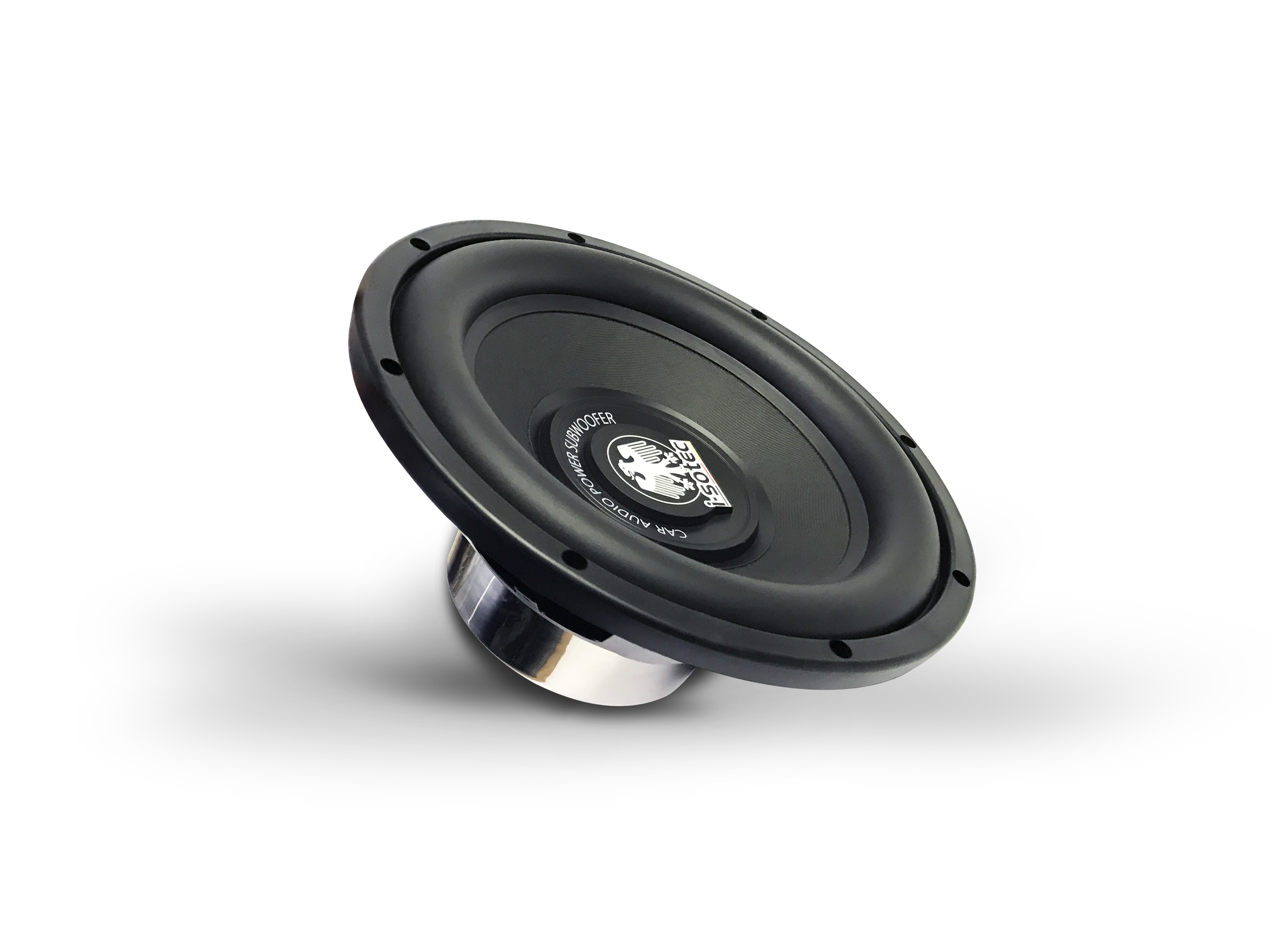 PL10 10” (25CM) SUBWOOFER (4Ω)